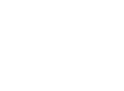鳥